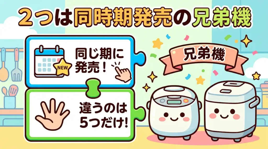 NW-WA10とNW-BA10は同時期発売の兄弟機で5項目だけ違う 